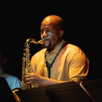 Jazzic-231
