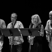Jazzic-257